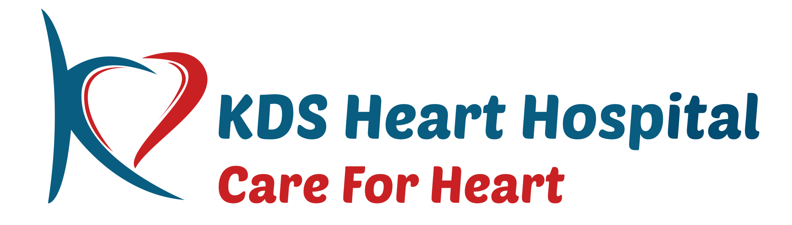 kdslogo